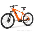 Customized electric bike all terrain